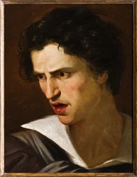 Ritratto di un uomo o Il Matto