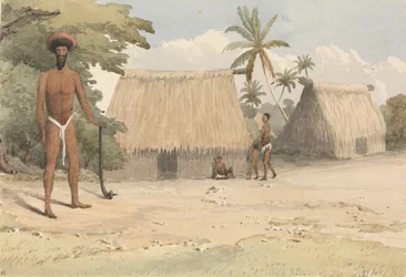 Acconciatura Feejee; da uno dei figli più giovani di Tanoa, 7 ottobre 1849 [Fiji]
