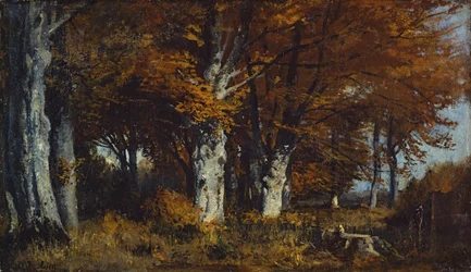 Bosco di faggi in autunno