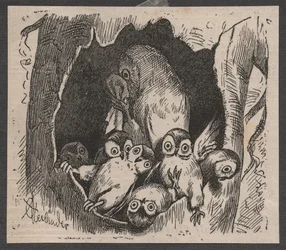 Gufo con cuccioli, c. 1890