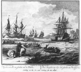 «Navigare nel ghiaccio e cercare la balena» (n. 1 della serie sulla caccia alla balena)