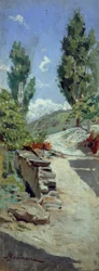 Strada tra le colline