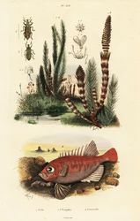 Immagine sconosciuta