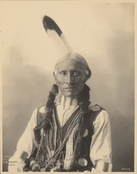 Bufalo bianco, Cheyennes