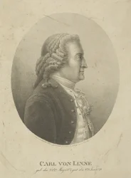 Ritratto di Carl Linnaeus