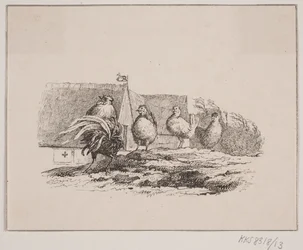 Il Gallo