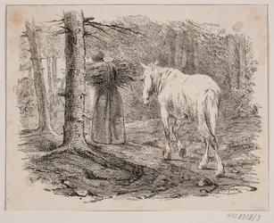 La donna e il cavallo