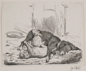 Cane incatenato con cucciolo