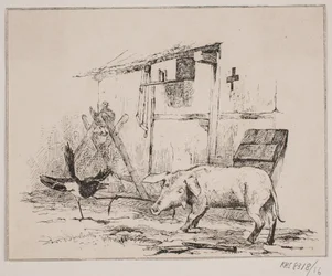 Il danno e il maiale
