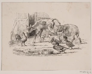 Vitello