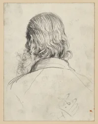 Testa barbuta con capelli lunghi, vista da dietro