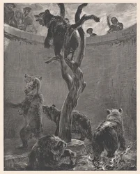 Fossa degli orsi allo zoo