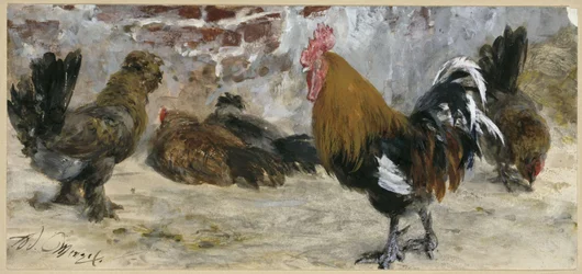 Il gallo e le galline. Dall