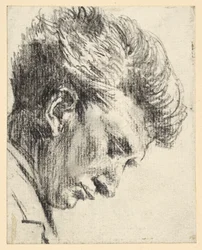 Profilo del viso di un uomo che guarda verso il basso