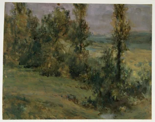Paesaggio con alberi decidui in una giornata uggiosa