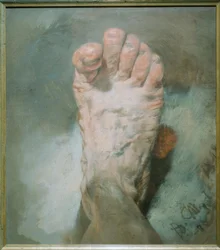 Il piede dell