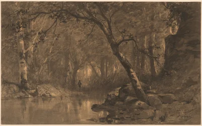Un Fiume nel Bosco con un Pescatore