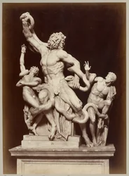 Il Laocoonte nei Musei Vaticani