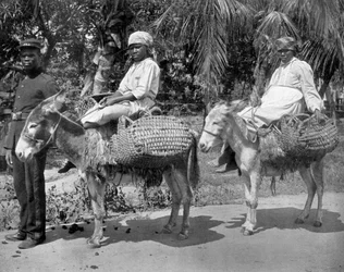 In prigione, Giamaica, c1905