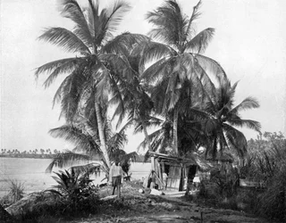 Sulla strada per Blue Hole, Port Antonio, Giamaica, c. 1905