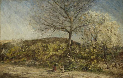 Paesaggio con frutteto in fiore