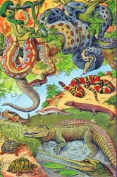 Illustrazione di rettili c.1923
