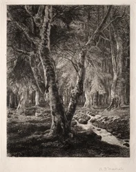 Foresta di Pierrefonds