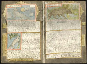 Visboeck di Adriaen Coenen