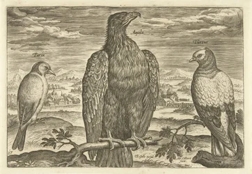Tre uccelli in un paesaggio