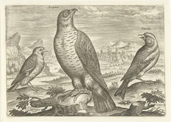 Tre uccelli in un paesaggio