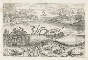 Un pesce e alcuni crostacei sulla spiaggia (serie Pesci)