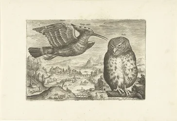 Alcuni uccelli in un paesaggio