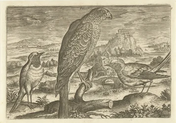 Alcuni uccelli in un paesaggio (serie Uccelli)