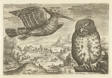 Alcuni uccelli in un paesaggio