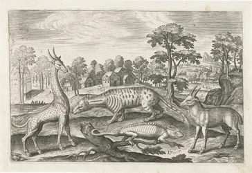 Animali esotici
