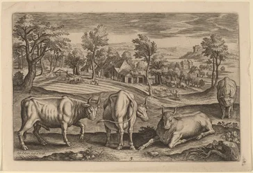 Quattro tori