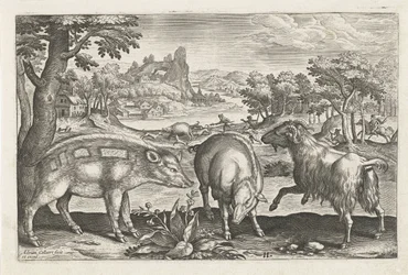 Capra e maiali