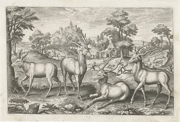 Cervi (Animali quadrupedi)