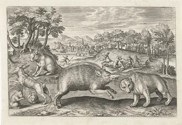 Selvaggina