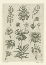 Corona imperiale, orchidea e mughetti