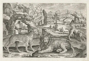 Leoni e leopardo
