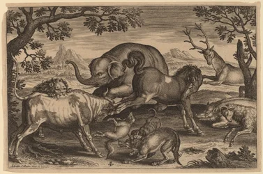 Leone, Toro, Volpe, Lupo, Cane, Cinghiale, Capra, Cavallo, Elefante e Cervo