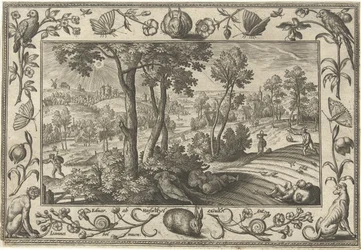 Erbacce tra il grano