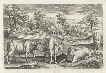 Runderen