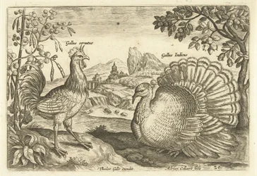 Due galli in un paesaggio