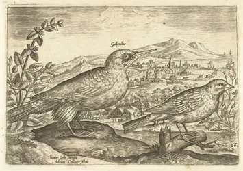 Due uccelli in un paesaggio