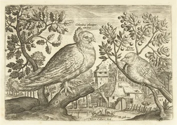 Due uccelli in un paesaggio (serie: Avivm Vivae, Uccelli)