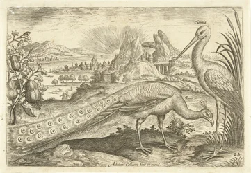 Due uccelli in un paesaggio (Avivm Vivae, Vogels)