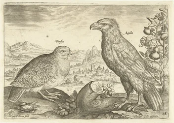 Due uccelli in un paesaggio (Avivm Vivae) (Uccelli)