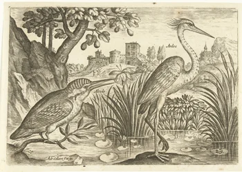 Due uccelli in un paesaggio (Uccelli)